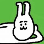 筱信的头像 - 皮皮信